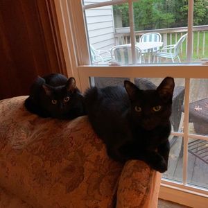 Meet your Posher, Karen